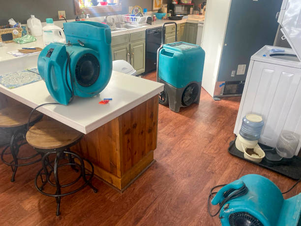 Best 24-hour water damage restoration  in Black Diamond, FL