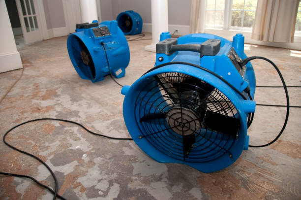 Best Flooded house restoration  in Black Diamond, FL