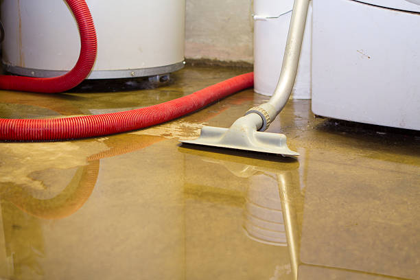 Best Water damage restoration near me  in Black Diamond, FL