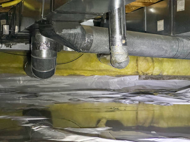 Best Flood damage cleanup  in Black Diamond, FL