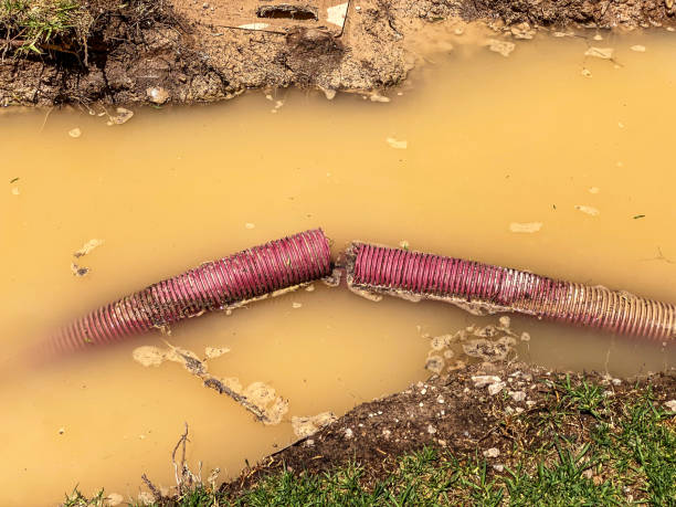 Best 24/7 water damage repair  in Black Diamond, FL