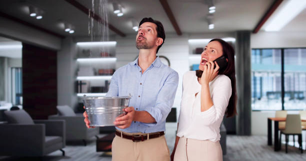 Best Residential water damage restoration  in Black Diamond, FL